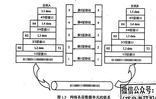 計算機網(wǎng)絡(luò)體系結(jié)構(gòu)與系統(tǒng)服務(wù)